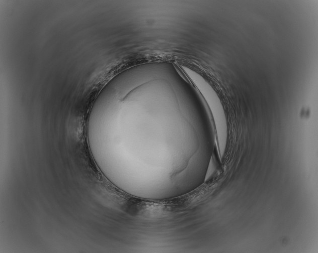 X0000090610709200707311222