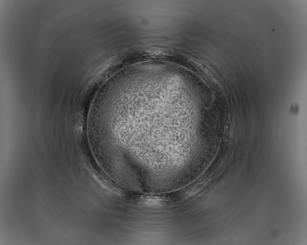 X0000090610710200707311222