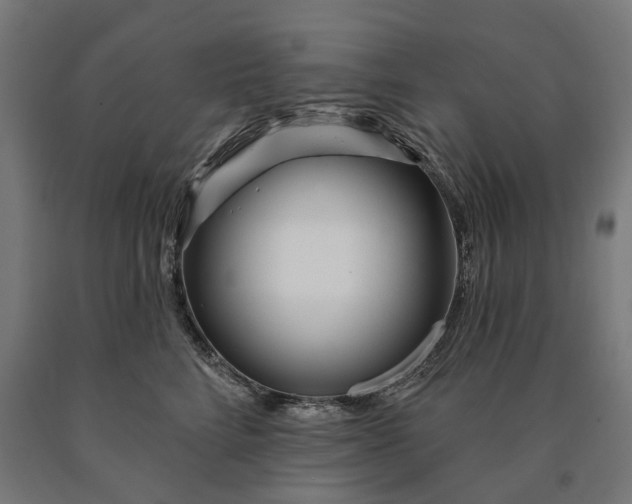 X0000090610712200707311222