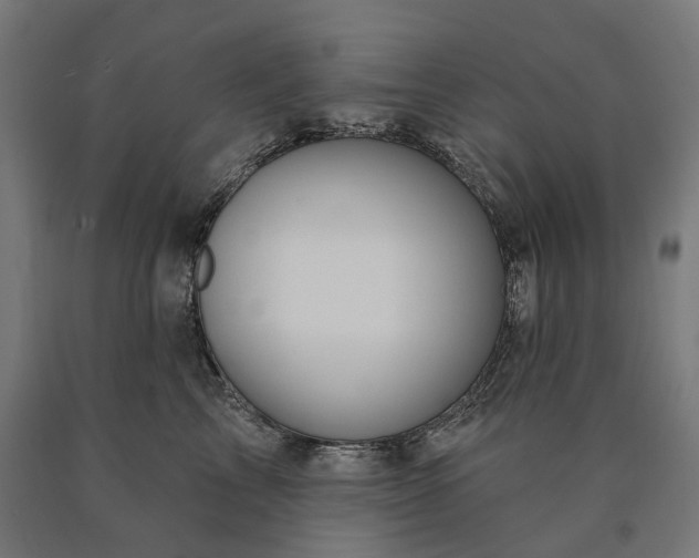 X0000090610713200707311222