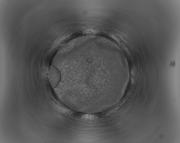 X0000090610714200707311222