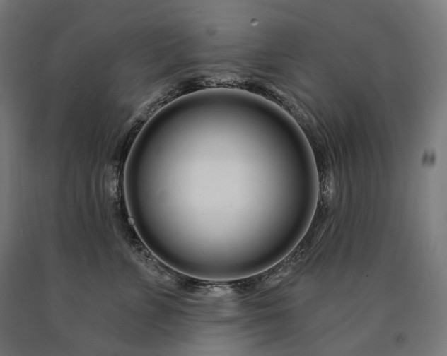 X0000090610715200707311222