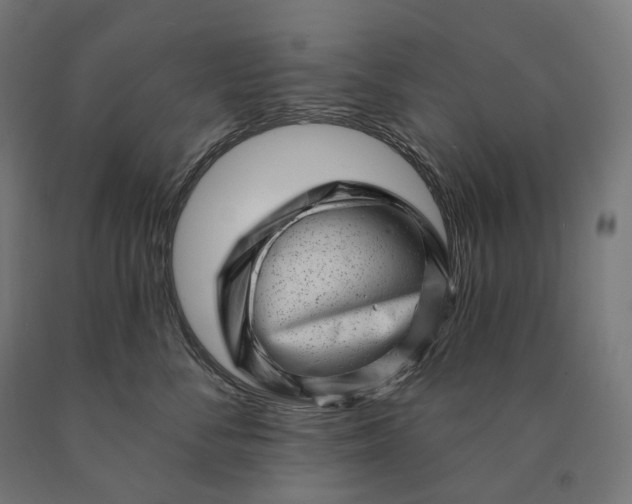 X0000090610716200707311222