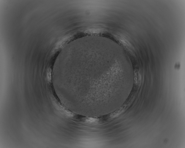 X0000090610718200707311222