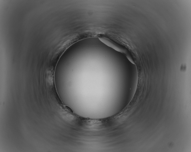 X0000090610719200707311222