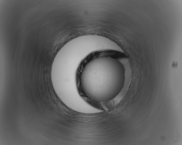 X0000090610720200707311222