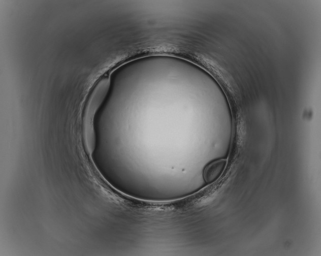 X0000090610721200707311221