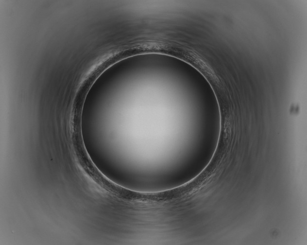 X0000090610722200707311221