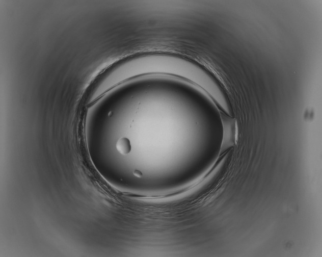 X0000090610723200707311221