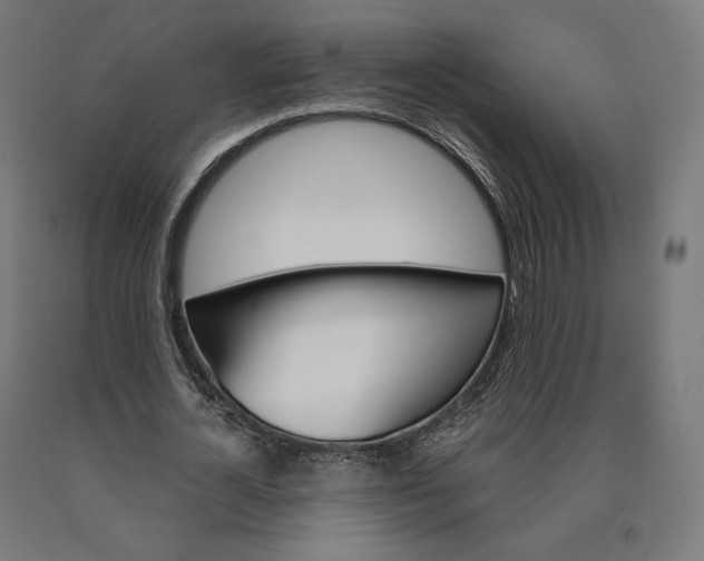 X0000090610724200707311221