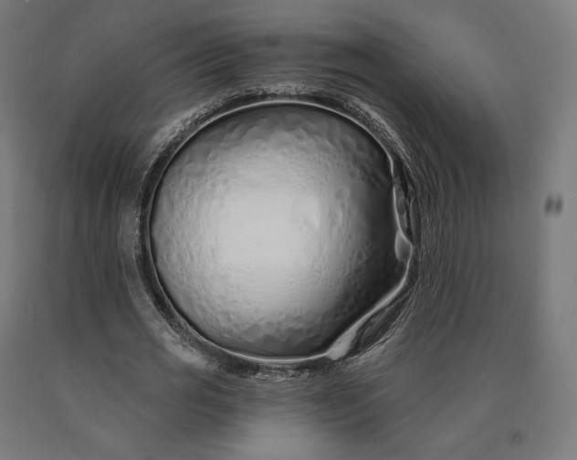 X0000090610725200707311221