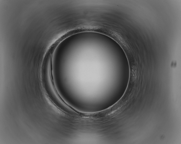 X0000090610726200707311222