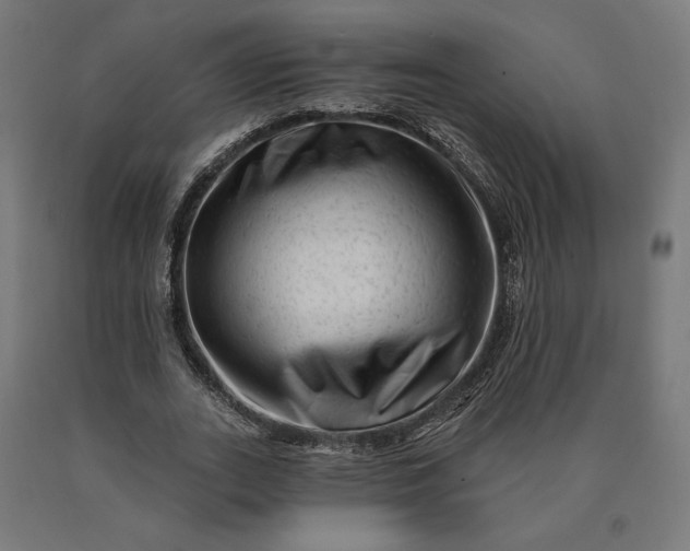 X0000090610727200707311222