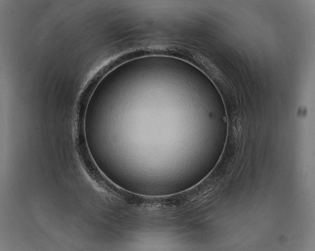 X0000090610728200707311222