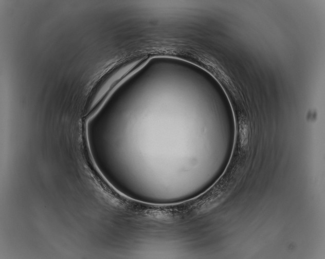 X0000090610729200707311222