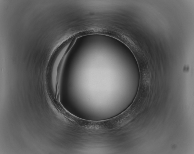 X0000090610730200707311222