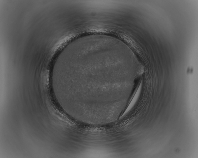 X0000090610731200707311222