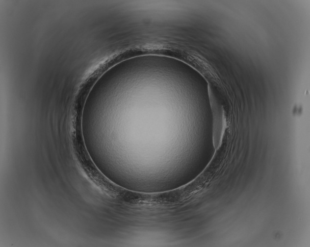 X0000090610732200707311222