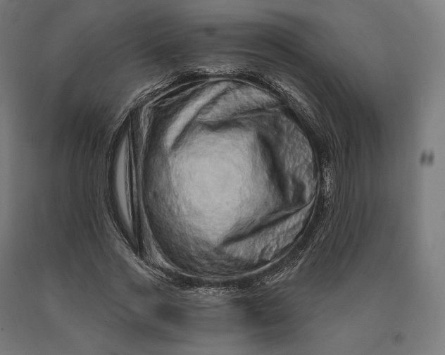 X0000090610733200707311222