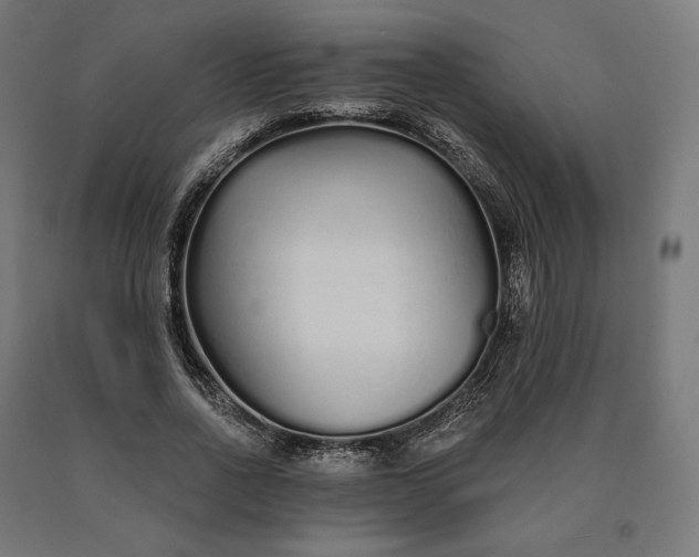 X0000090610734200707311222