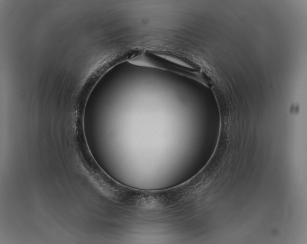 X0000090610735200707311222