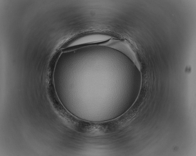 X0000090610736200707311222