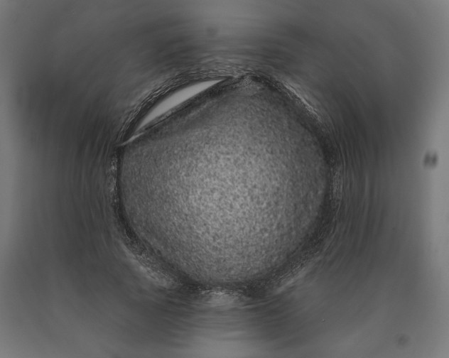 X0000090610737200707311222