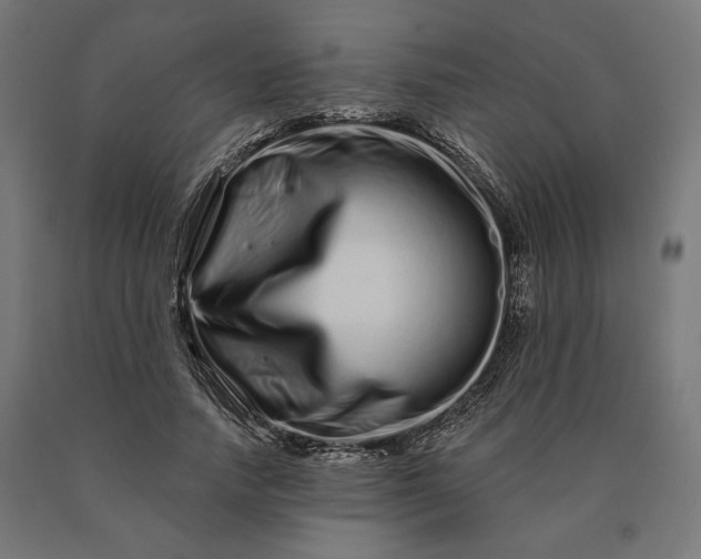 X0000090610738200707311222