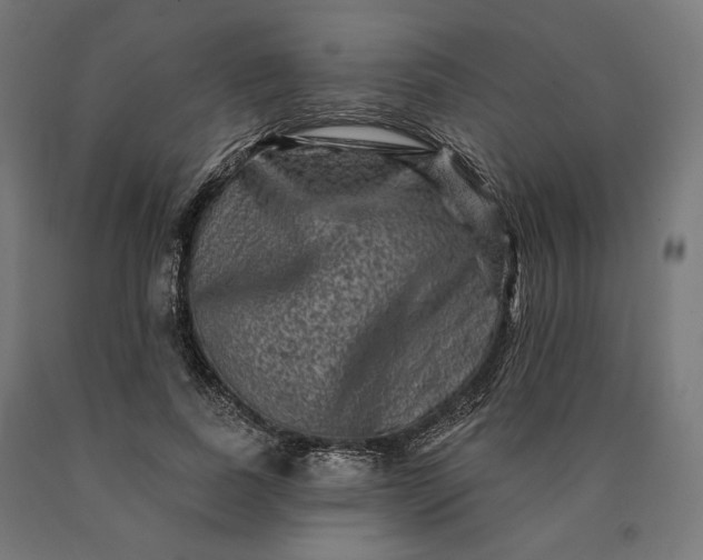 X0000090610739200707311222