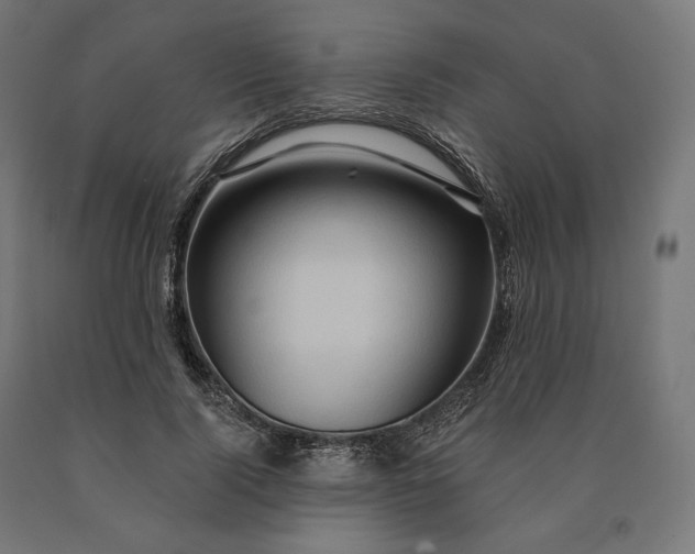 X0000090610740200707311222