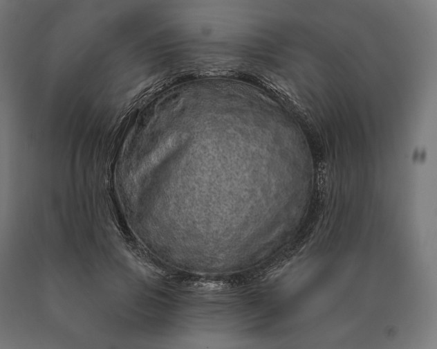 X0000090610741200707311222