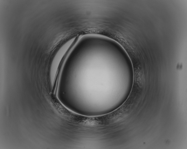 X0000090610742200707311222