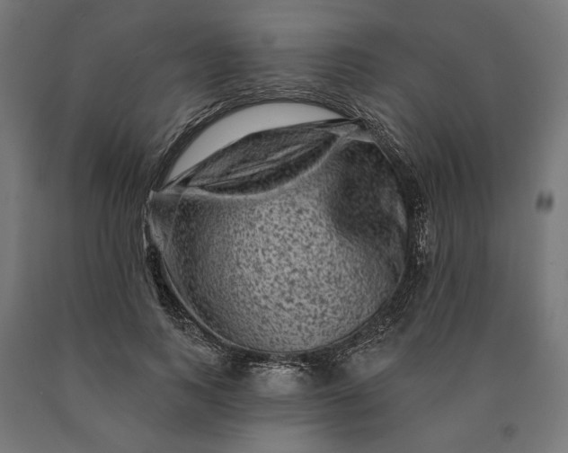 X0000090610743200707311222