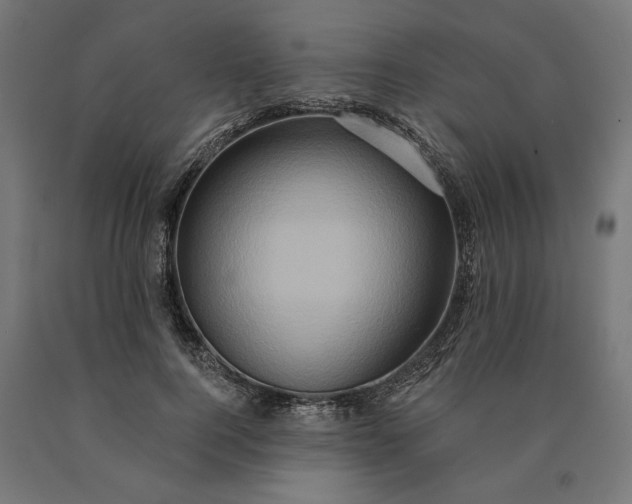 X0000090610744200707311222