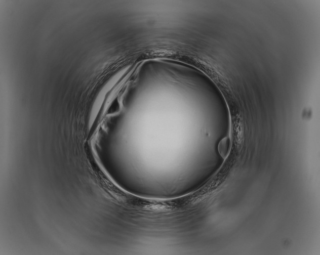 X0000090610745200707311222