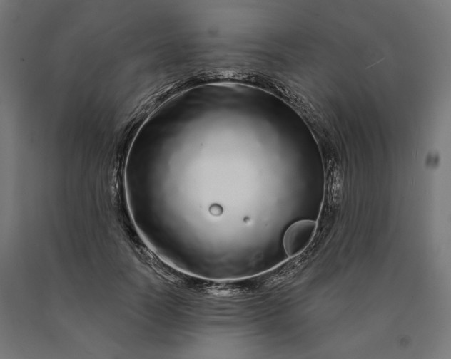 X0000090610746200707311222