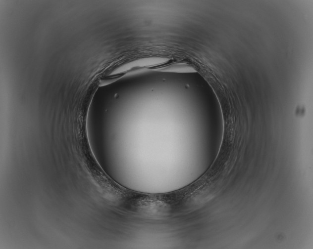 X0000090610747200707311222