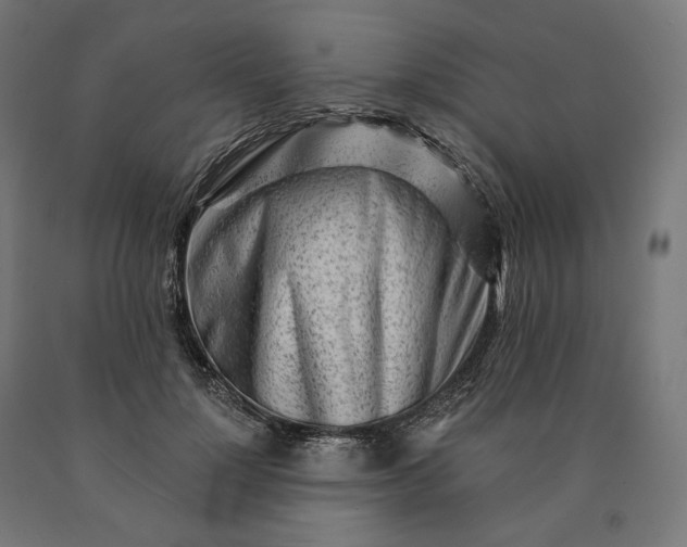 X0000090610748200707311222