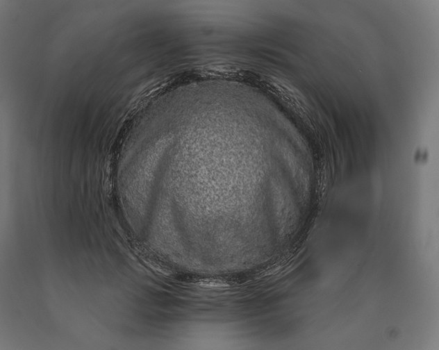 X0000090610749200707311222