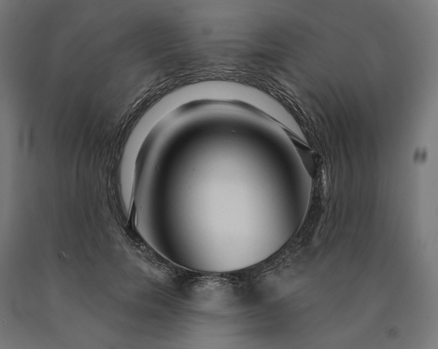 X0000090610750200707311222