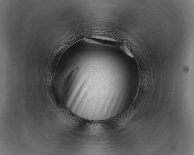 X0000090610751200707311222