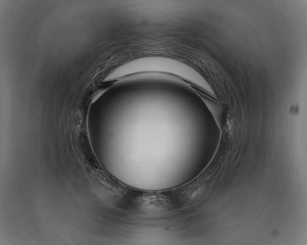 X0000090610752200707311222