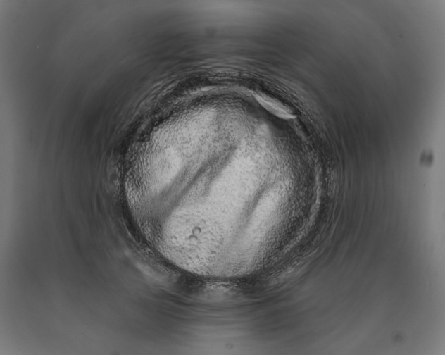 X0000090610753200707311222