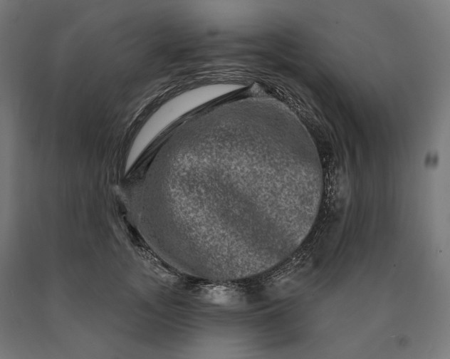 X0000090610755200707311222