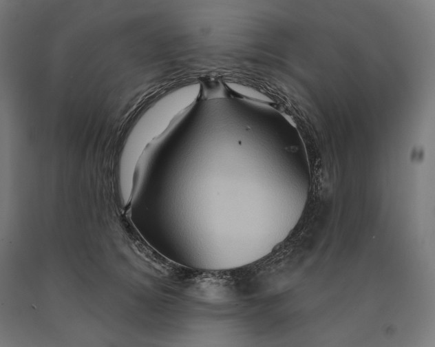 X0000090610756200707311222