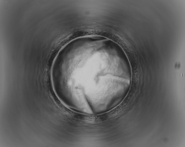 X0000090610757200707311222