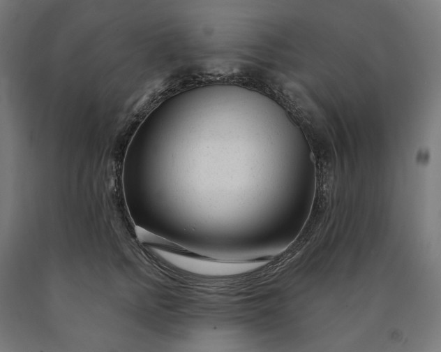 X0000090610758200707311222