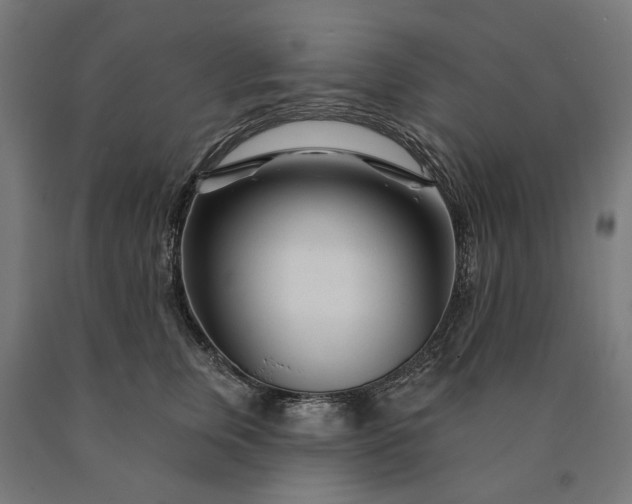 X0000090610759200707311222