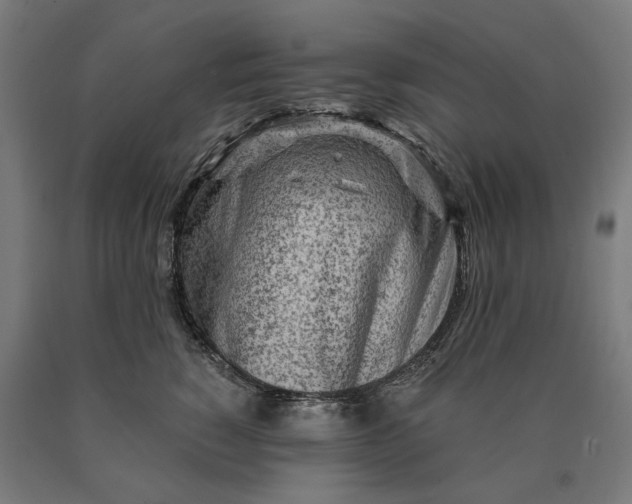 X0000090610760200707311222