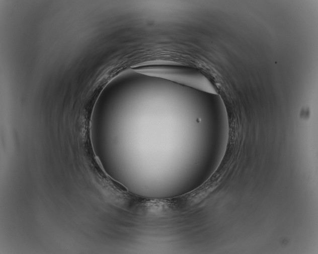 X0000090610762200707311222